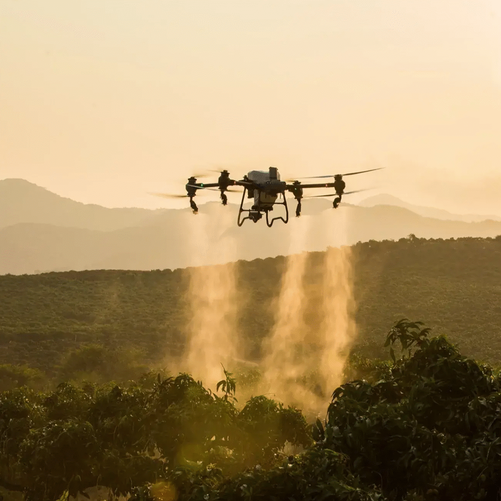 INNOVATION Nile Harvest