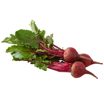 Beets Nile-harvest
