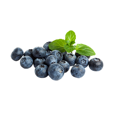 Blueberries Nile-harvest