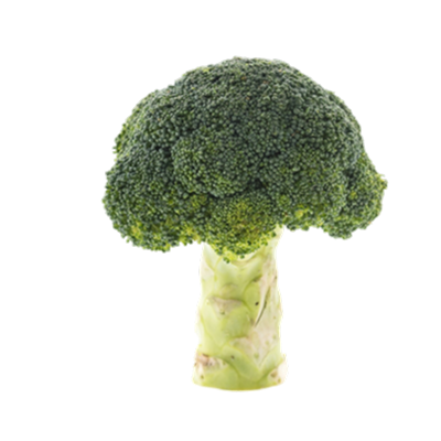 Broccoli Nile-harvest