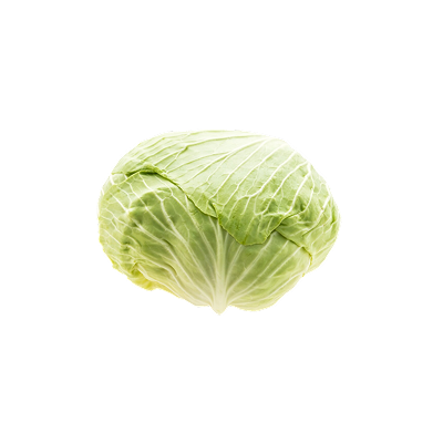 Cabbage Nile-harvest