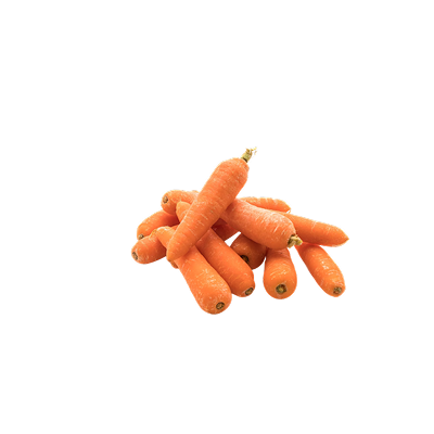 Carrots Nile Harvest