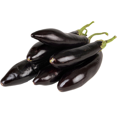 Eggplants Nile-harvest