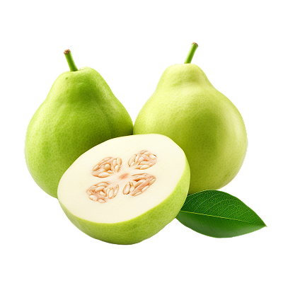 Guava Nile-harvest
