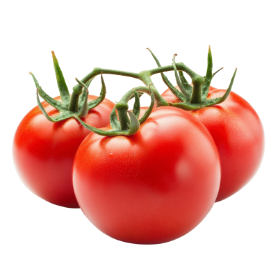 ROUND TOMATOES NILE-HARVEST
