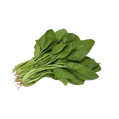 Spinach Nile-harvest