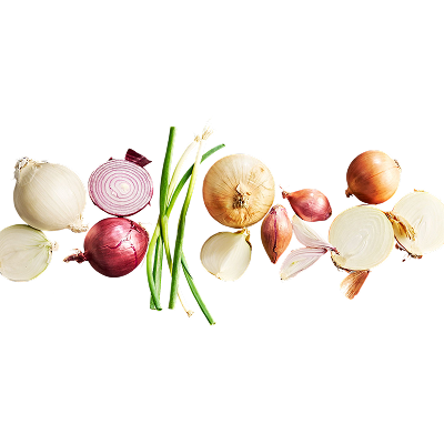 onions Nile-harvest