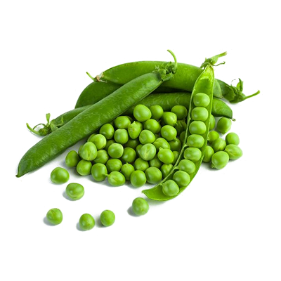 Green Beans Nile-harvest