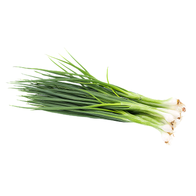 scallions Nile-harvest